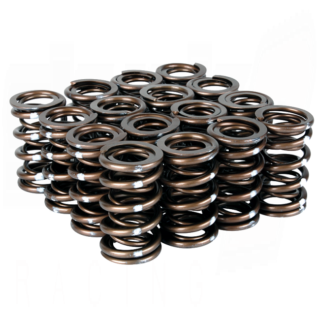 Skunk2 Pro XP Valve Spring Set - Honda K-Series - 311-05-7380 - 311-05-7380