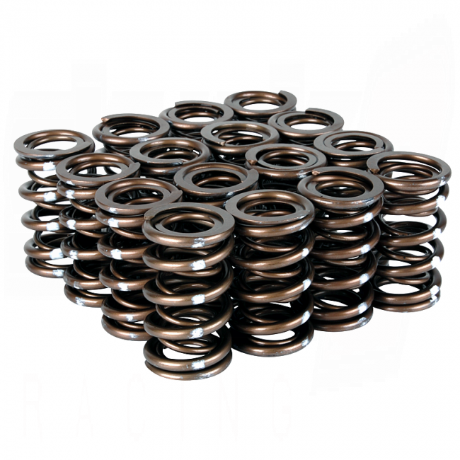 Skunk2 Pro XP Valve Spring Set - Honda B-Series VTEC - 311-05-7350 - 311-05-7350