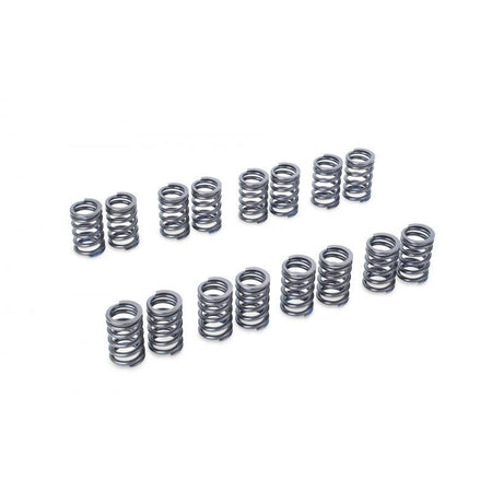 Tomei USA - Valve Spring Ej205/Ej207/Ej255/Ej257 - Subaru EJ257 - TA304A-SB01A - TA304A-SB01A