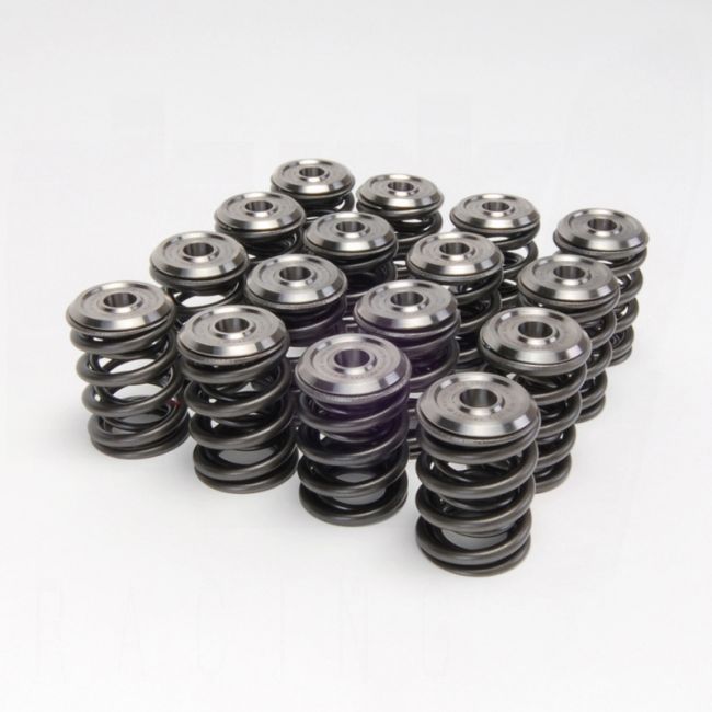 Skunk2 Alpha Valve Spring & Ti Retainer Kit - Honda B-Series VTEC - 344-05-1300 - 344-05-1300