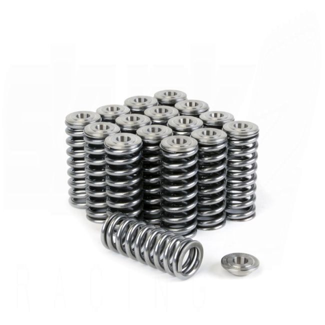 Skunk2 Alpha Valve Spring & Ti Retainer Kit - Honda D16 VTEC - 344-05-1350 - 344-05-1350