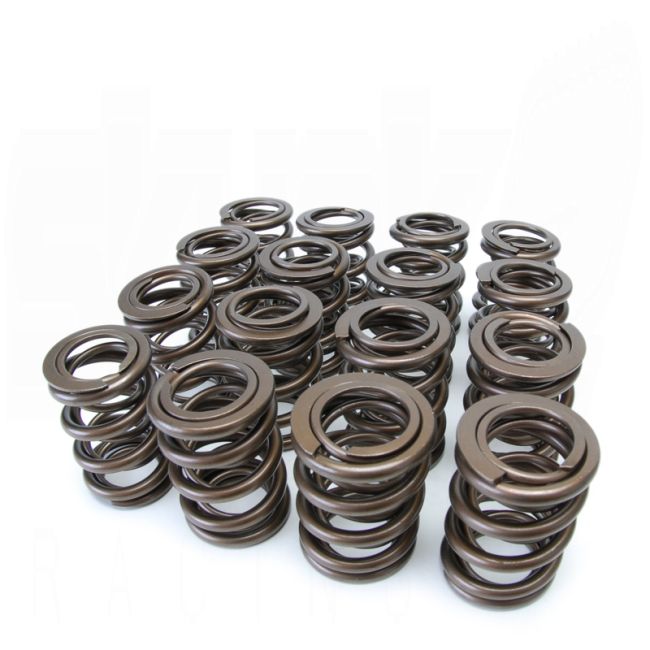 Skunk2 Alpha Valve Spring Set - Honda H22/F20B - 311-05-1360 - 311-05-1360