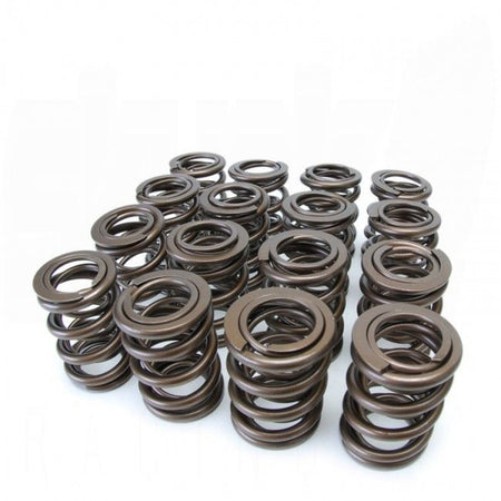 Skunk2 Alpha Valve Spring Set - Honda B-Series VTEC - 311-05-1350 - 311-05-1350