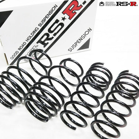 RS-R - Suspension HD Lowering Springs - Nissan Skyline GT-R BNR32 - N105H - RZCrewGarage