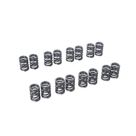 Tomei USA - Valve Spring Set CA18DE(T) - Nissan CA18DE - TA304A-NS11A - TA304A-NS11A