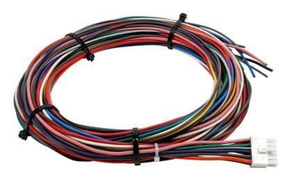 AEM Electronics - Wiring Harness for V2 Controller with Internal MAP Sensor - RZCrewGarage