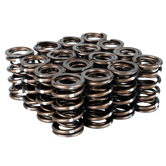 Skunk 2 - PRO XP Valves Springs - Honda - B Series - 311-05-7350 - 311-05-7350