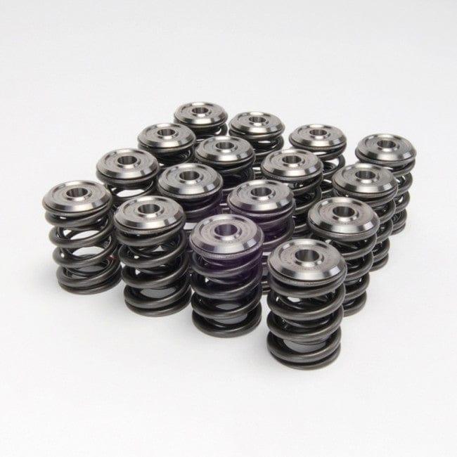 Skunk 2 - Alpha Valve Springs and Ti Valves Springs,Retainers Kit - Honda - B Series - 344-05-1300 - 344-05-1300