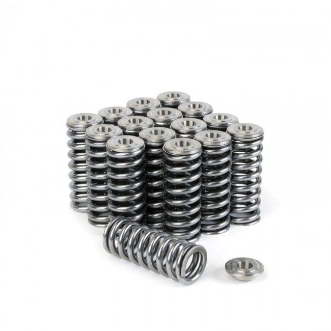 Skunk 2 - Alpha Valve Springs and Ti Valves Springs,Retainers Kit - Honda - D16Z6/Y8 - 344-05-1350 - 344-05-1350