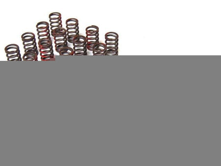 Brian Crower - Single Spring/Titanium Retainer Kit (Nissan Rb26Dett) - BC0230 - BC0230