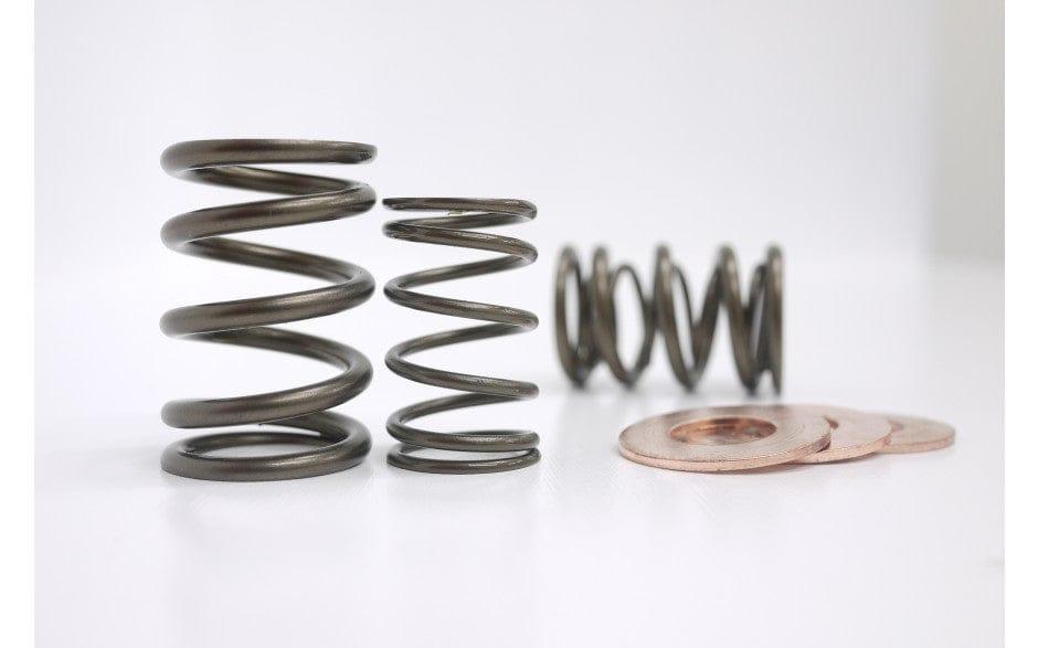 Kelford - KVS13D - High performance PACALOY dual valve spring set - Honda - B20B - KVS13D